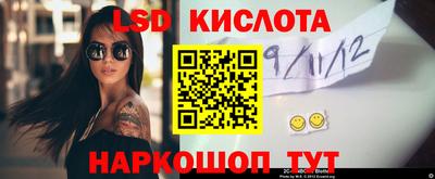 кокс Донской