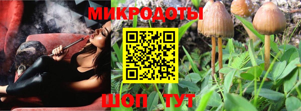 Псилоцибиновые грибы Cubensis  Вход с VPN  Нижнекамск 