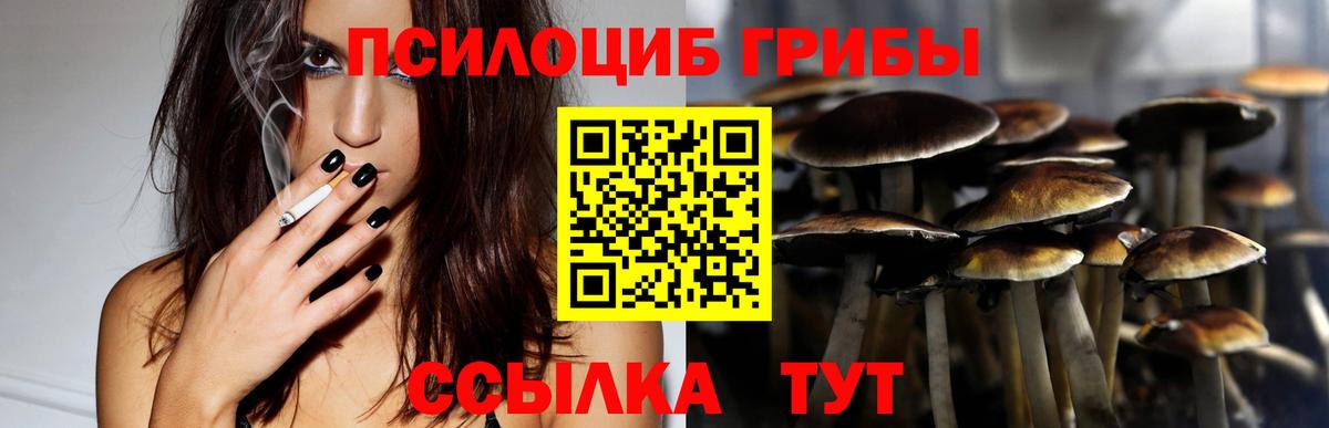 Галлюциногенные грибы мицелий Нижнекамск